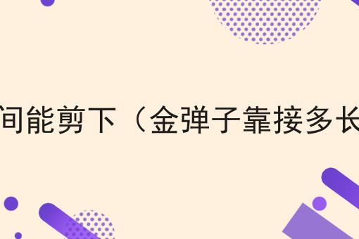 金弹子靠接多长时间能剪下（金弹子靠接多长时间能剪下枝条）