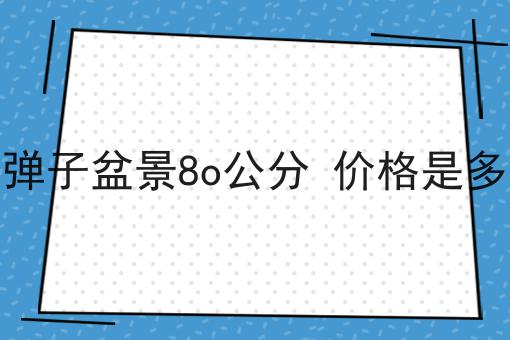 金弹子盆景8o公分 价格是多少