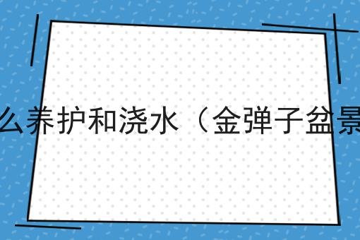 金弹子树盆景怎么养护和浇水（金弹子盆景怎么修剪造型）