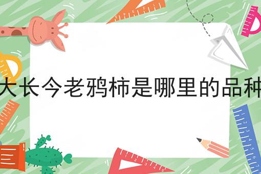 大长今老鸦柿是哪里的品种