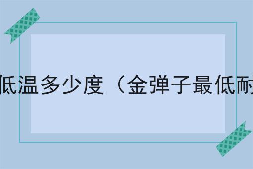 金弹子耐低温多少度（金弹子最低耐受温度）