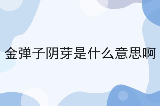 金弹子阴芽是什么意思啊