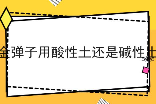 金弹子用酸性土还是碱性土