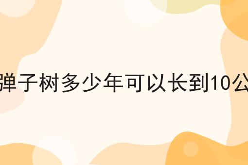 金弹子树多少年可以长到10公分