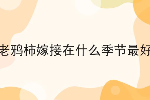 老鸦柿嫁接在什么季节最好