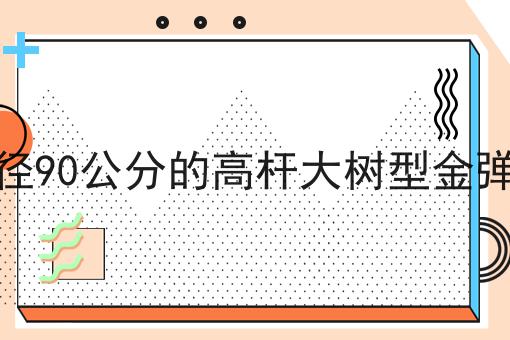 直径90公分的高杆大树型金弹子