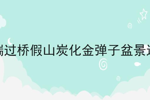 高端过桥假山炭化金弹子盆景造型