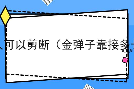 金弹子靠接多久可以剪断（金弹子靠接多长时间能剪下）