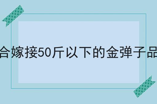 适合嫁接50斤以下的金弹子品种