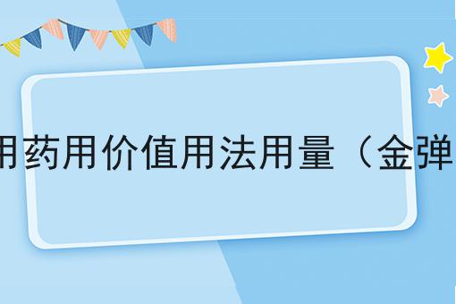 金弹子的功效与作用药用价值用法用量（金弹子的功效与作用?）