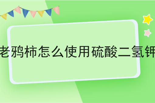 老鸦柿怎么使用硫酸二氢钾