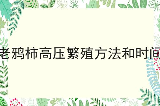 老鸦柿高压繁殖方法和时间