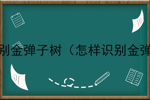 如何识别金弹子树（怎样识别金弹子树）