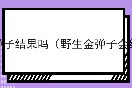 野生金弹子结果吗（野生金弹子会结果吗）