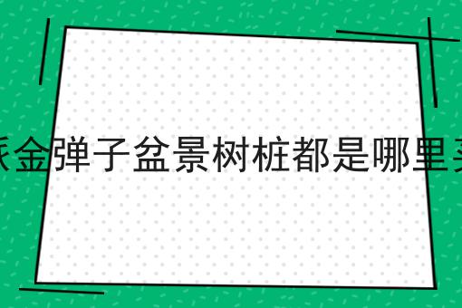 川派金弹子盆景树桩都是哪里买的