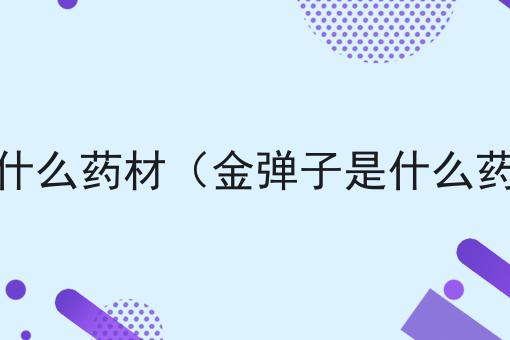 金弹子是什么药材（金弹子是什么药材做的）