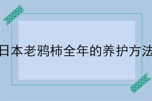 日本老鸦柿全年的养护方法