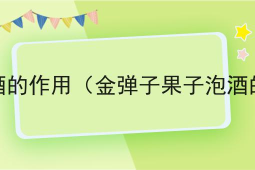 金弹子果子泡酒的作用（金弹子果子泡酒的作用和功效）