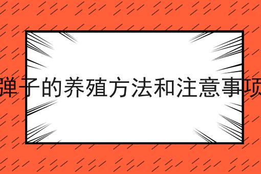 金弹子的养殖方法和注意事项一