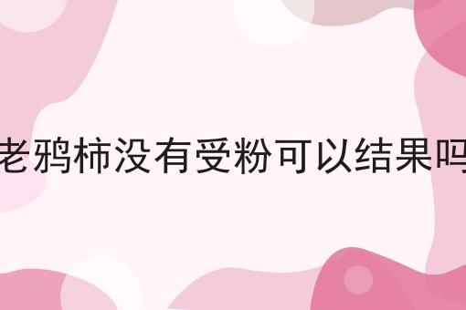 老鸦柿没有受粉可以结果吗