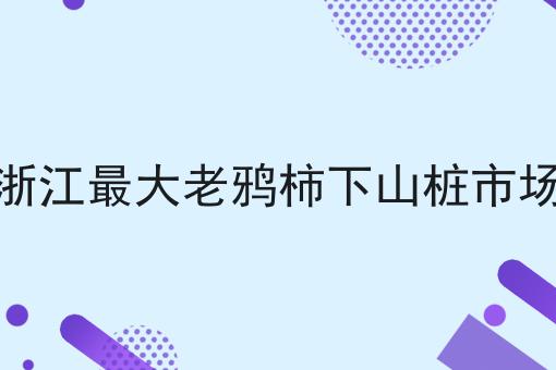 浙江最大老鸦柿下山桩市场