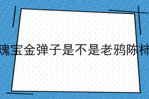 瑰宝金弹子是不是老鸦陈柿