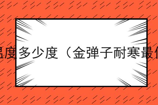 金弹子耐寒最低温度多少度（金弹子耐寒最低温度多少度呢）