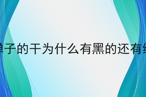 金弹子的干为什么有黑的还有绿的