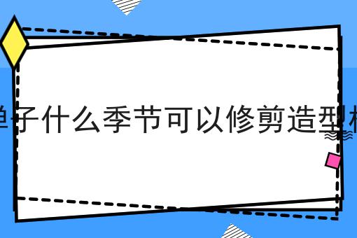 金弹子什么季节可以修剪造型枝条