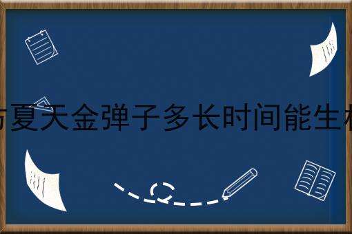 北方夏天金弹子多长时间能生根呢