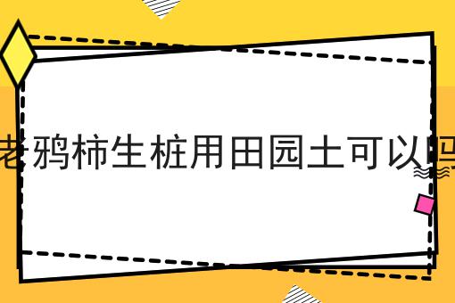 老鸦柿生桩用田园土可以吗