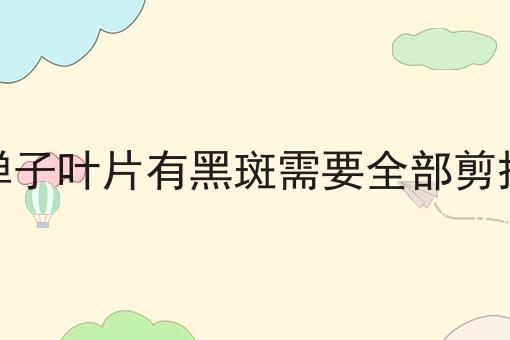 金弹子叶片有黑斑需要全部剪掉吗