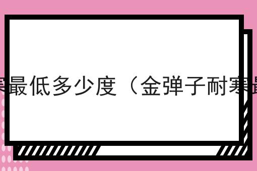 金弹子耐寒最低多少度（金弹子耐寒最低温度）