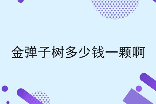 金弹子树多少钱一颗啊