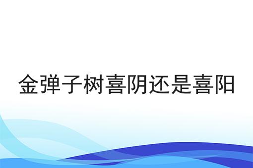 金弹子树喜阴还是喜阳