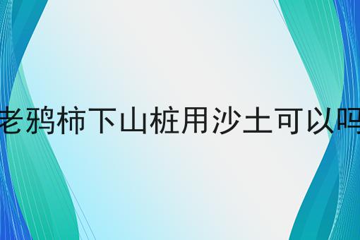 老鸦柿下山桩用沙土可以吗