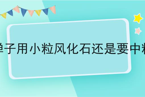 金弹子用小粒风化石还是要中粒的