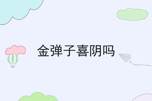 金弹子喜阴吗