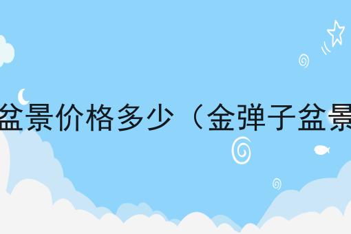 金弹子树盆景价格多少（金弹子盆景的价格）