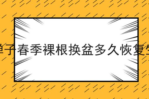 金弹子春季裸根换盆多久恢复生长