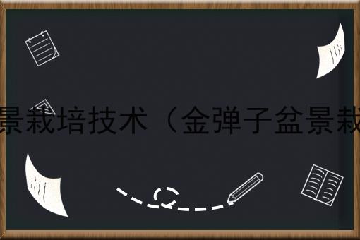 金弹子盆景栽培技术（金弹子盆景栽培管理）