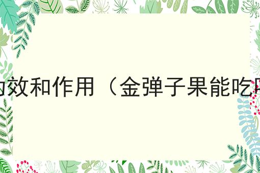 金弹子果能吃吗?有什么功效和作用（金弹子果能吃吗?有什么功效和作用呢）