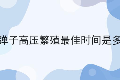 金弹子高压繁殖最佳时间是多少