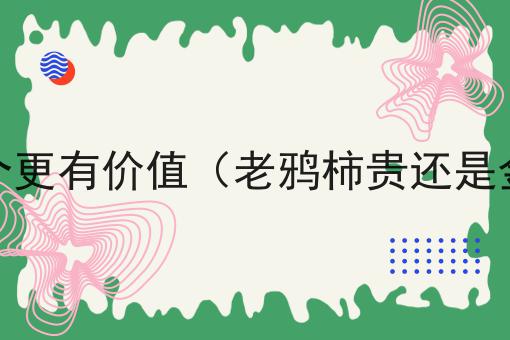 老鸦柿贵还是金弹子贵哪个更有价值（老鸦柿贵还是金弹子贵哪个更有价值呢）