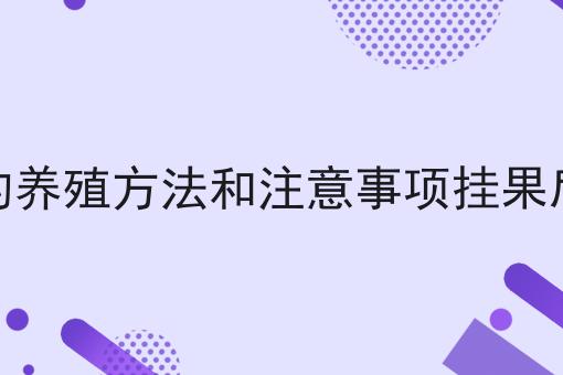 金弹子的养殖方法和注意事项挂果后的管理