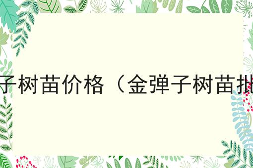 金弹子树苗价格（金弹子树苗批发）