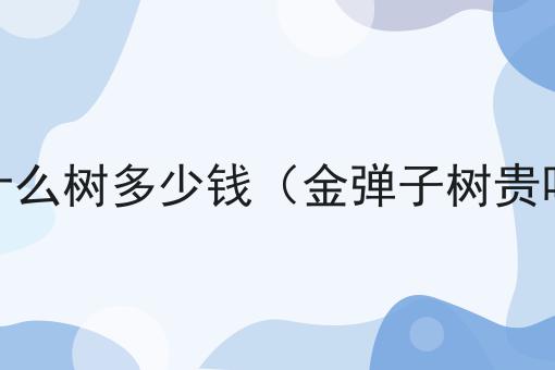 金弹子是什么树多少钱（金弹子树贵吗多少钱）