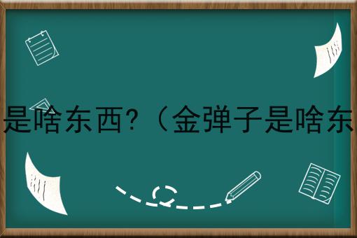 金弹子是啥东西?（金弹子是啥东西呀）