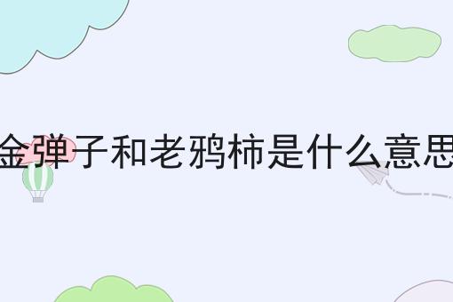 金弹子和老鸦柿是什么意思