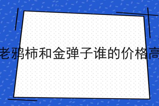 老鸦柿和金弹子谁的价格高